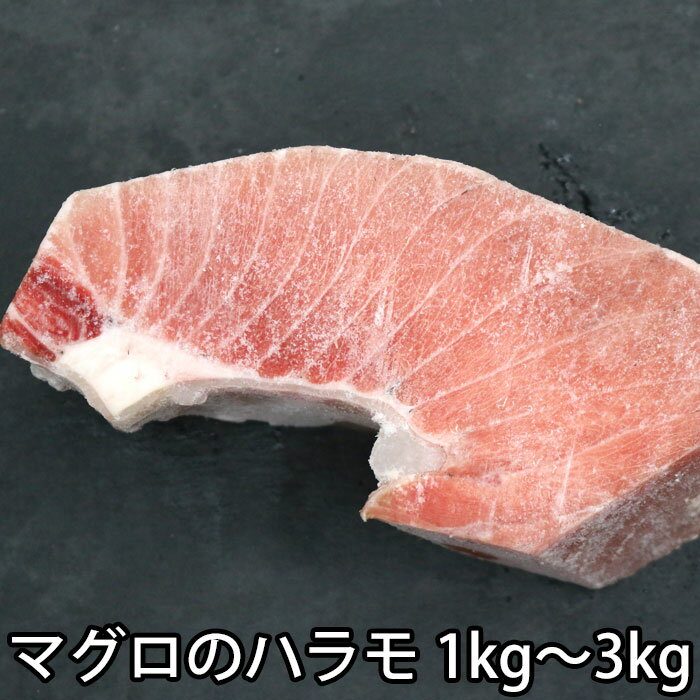 メバチ マグロ ハラミ 約1kg （冷凍便） 生食 可能 刺身 バーベキュー ハラモ ハラス