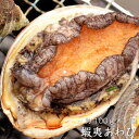 蝦夷あわび約100g×1個（冷蔵便）[メール便：不可]