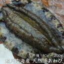 【瀬戸内産】天然活あわび1個180g〜200g（冷蔵便）[メール便：不可]