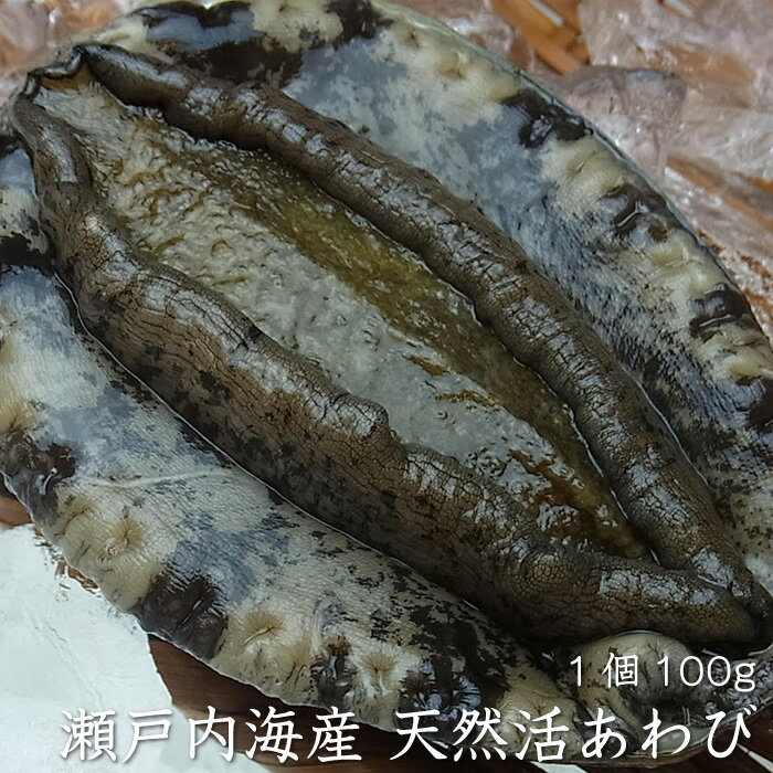 瀬戸内産 天然活あわび 1個100g 1個～