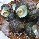 瀬戸内産 天然サザエ（ 1個約80-100g）X1kg～4kg（冷蔵...