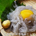 【送料無料】　広島産　生しらす　100g×10パック　 シラス好きに海鮮ギフトとしても喜ばれます（冷凍便）[メール便：不可]