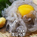 【送料無料】広島産　生しらす　食べきりサイズ　50g×5パック　シラス好きにはたまらない!!ギフトにも喜ばれます（冷凍便）[メール便：不可]