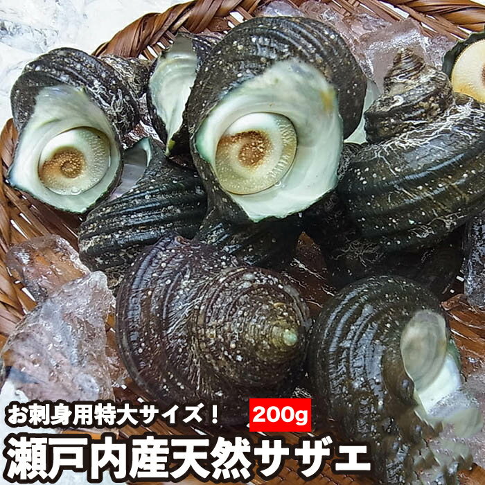 瀬戸内産 天然サザエ 特大200gを1kg お刺身 バーベキュー 壺焼き 海鮮バーベキュー 花見 海鮮 お祝い お土産 さざえのつぼ焼 大きめ 魚介類 貝 サザエ さざえ 栄螺 BBQ 海鮮 食べ物 魚介 水産 冷凍 御年賀 御歳暮 ギフト バター焼き アヒージョ