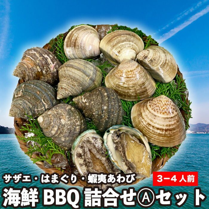 特選 海鮮BBQ詰合せ A貝づくしセット《3-4人前/3種12個》サザエ5個・はまぐり5個・蝦夷アワビ2個 鮮度抜群の冷蔵便でお届けします！広島の中央卸売市場から産地直送！バーベキューやギフトにぴったりの海鮮詰合せセットです。