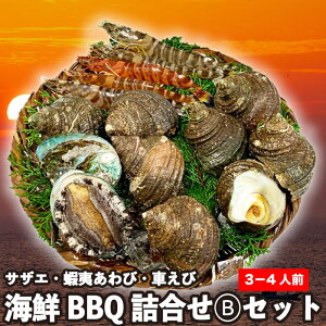 特選 海鮮BBQ詰合せ B貝づくしセット《3-4人/3種15個》サザエ 8個・車海老 5尾・蝦夷アワビ 2個 鮮度抜群の冷蔵便でお届けします！広島の中央卸売市場から産地直送！バーベキューやギフトにぴったりの海鮮詰合せセットです。送料無料