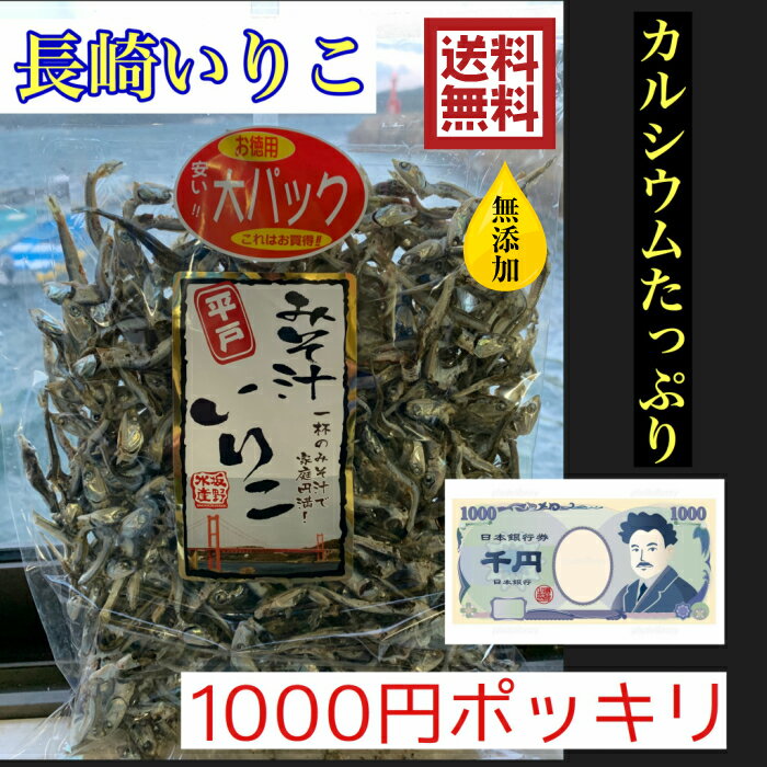 数量限定 1000円ポッキリ 無添加 送料無料味噌汁 いりこ 180g 大容量 お徳用 いりこ カルシウム たっぷり みそ汁 出汁 煮干し