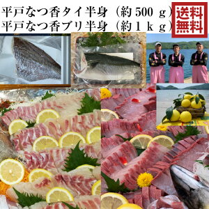 青空レストラン フルーツ魚 送料無料　平戸なつ香ブリ（半身・真空パック・あら無し）1kg平戸なつ香タイ　（半身・真空パック・あら無し）刺身 500g フィーレ 青空レストラン長崎を代表する フルーツ 魚 鯛 活〆　みかん　オレンジ