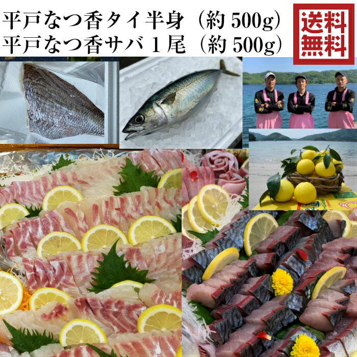 商品情報名称平戸なつ香タイ（半身・真空パック）平戸なつ香サバ 約500g内容量鯛 約500gサバ 約500g産地名長崎県養殖・解凍の別養殖　鮮魚賞味期限発送から7日保存方法冷蔵加工業者名株式会社 坂野水産長崎県平戸市鏡川町1296-7青空レストラン に出た フルーツ魚 送料無料　平戸なつ香サバ 約500g 1尾と平戸なつ香タイ（半身・真空パック・あら無し）刺身 で 500g フィーレ 長崎を代表する フルーツ 魚 鯛 鯖 サバ 活〆 タイ 青空レストラン 兄弟　母の日ギフト 平戸なつ香　長崎　平戸　ブランド　魚　フルーツ魚　御歳暮　御中元　ご贈答　タイ 鯖 サバ 鯛　贈答品　刺身　活〆 美味しい　うまい　新鮮 お歳暮 お中元 ギフト 長崎の平戸の自然豊かな海で育てたタイとサバ！餌の中に平戸産のサマーオレンジ『平戸夏香』を混ぜ入れたフルーツ魚！生臭さがなく女性や魚が苦手な方にも美味しく食べられます！もちろん刺身で食べ食べれます！カマは塩焼きがオススメ柑橘系の香りがして美味しいです！真空パックしているので食べる直前に包丁で切るだけ！台所も汚れず出刃包丁も要りません。【保存方法】冷蔵【賞味期限】発送から7日（開封前）※魚のさばき方＆1本まるごと食べれるレシピ付き 2