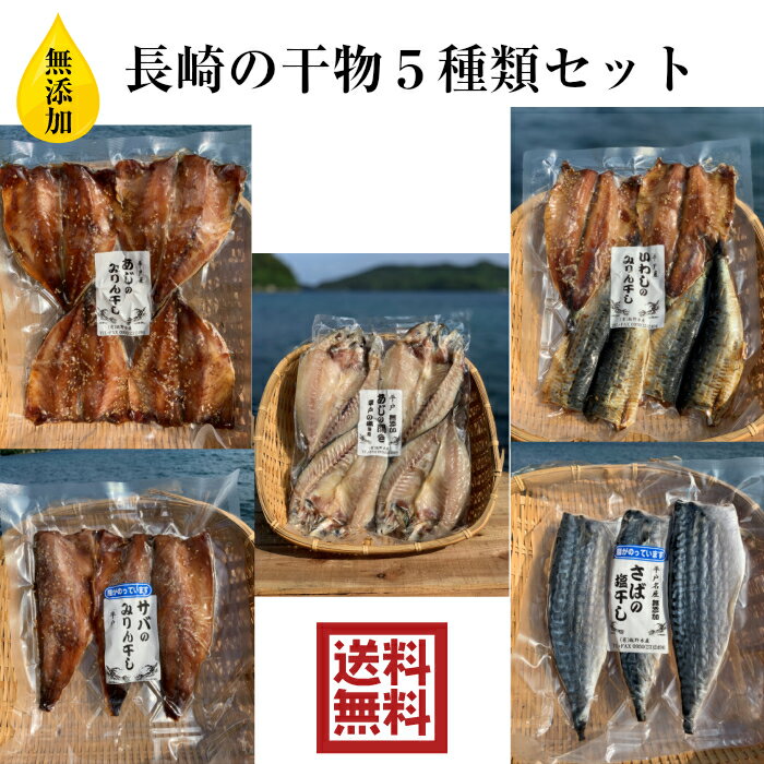 無添加　長崎の干物　5種類　セット 送料無料　お得　贈答品　御歳暮　御中元 鯵 鰯 鯖 干物 烏賊 アジ イワシ サバ　お歳暮 お中元 ギフト ホワイトデー　母の日ギフト