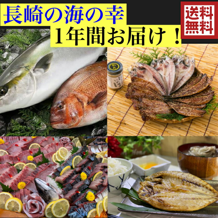 長崎の海の幸 1年間お届け！ 旬の魚を届けます 送料無料5000円セット 平戸 海の幸 長崎 水産 定期 魚刺身 干物 贅沢 いりこ 煮干し