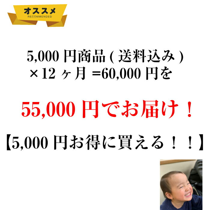 長崎の海の幸 1年間お届け！ 旬の魚を届けます 送料無料5000円セット 平戸 海の幸 長崎 水産 定期 魚刺身 干物 贅沢 いりこ 煮干し