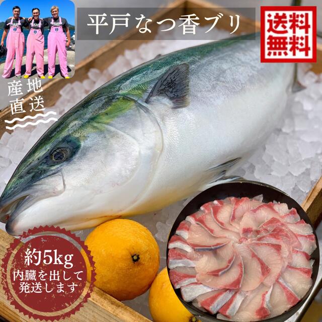 青空レストラン に出た フルーツ魚 送料無料　平戸なつ香 ブリ 約5kg 長崎 を代表する フルーツ 魚 ！調理しやすいように内臓を取り除いて発送します 鰤 活〆　みかん　オレンジ 兄弟 ブリ