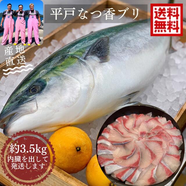 青空レストラン に出た フルーツ魚 送料無料　平戸なつ香 ブリ 約3.5kg 長崎を代表する フルーツ 魚！調理しやすいように内臓を取り除いて発送します 鰤 活〆みかん オレンジ 兄弟