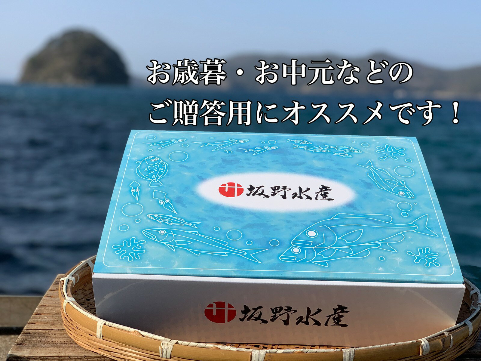 最大49 Offクーポン 干物 アジ開き サバ塩干し 塩干 アジみりん干し イワシみりん干し サバみりん干し みりん干し 脂 旬 アジ イワシ サバ 健康 長崎 送料無料 おかず 魚 つまみ 無添加 長崎の干物 ５種類 セット お得 贈答品 御歳暮 御中元 鯵 鰯 鯖 烏賊