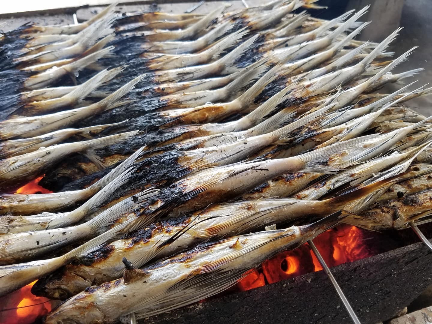 焼あご 出汁 用 農林水産大臣賞 送料無料 いりこ屋の贅沢だしパック【炭火焼きあご...