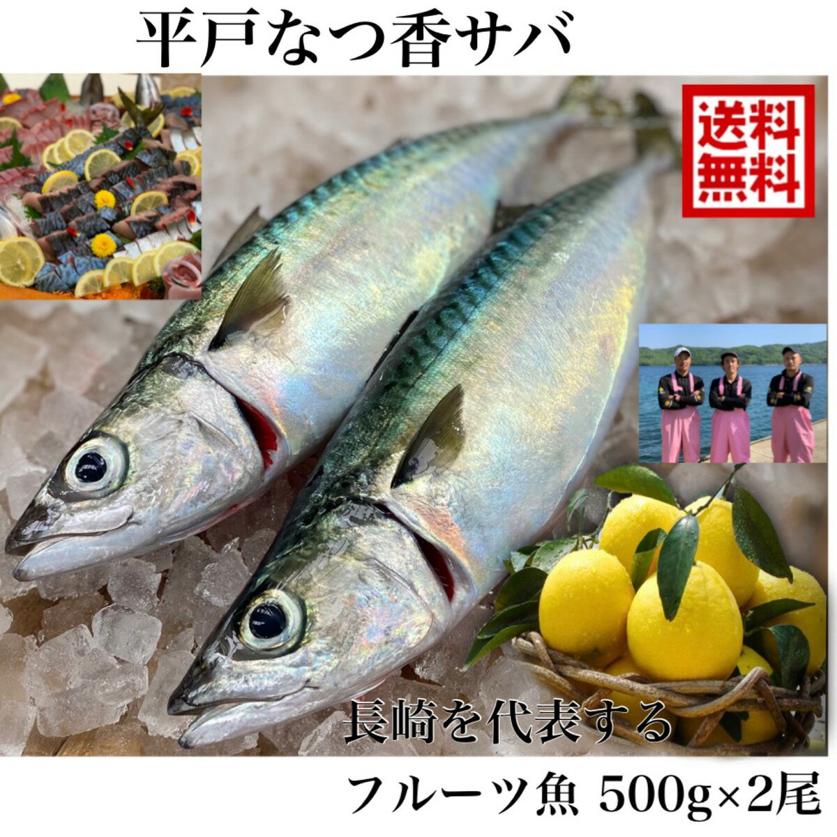 青空レストラン に出た フルーツ魚 送料無料　平戸なつ香サバ　約500g×2尾 長崎 を代表する フルーツ魚 内臓を出して…