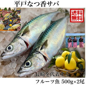 青空レストラン に出た フルーツ魚 送料無料　平戸なつ香サバ　約500g×2尾 長崎 を代表する フルーツ魚 内臓を出して発送します ホワイトデー サバ 鯖 刺身 生サバ ゴマサバ 活〆 みかん オレンジ 青空レストラン ブリ 養殖　ギフト