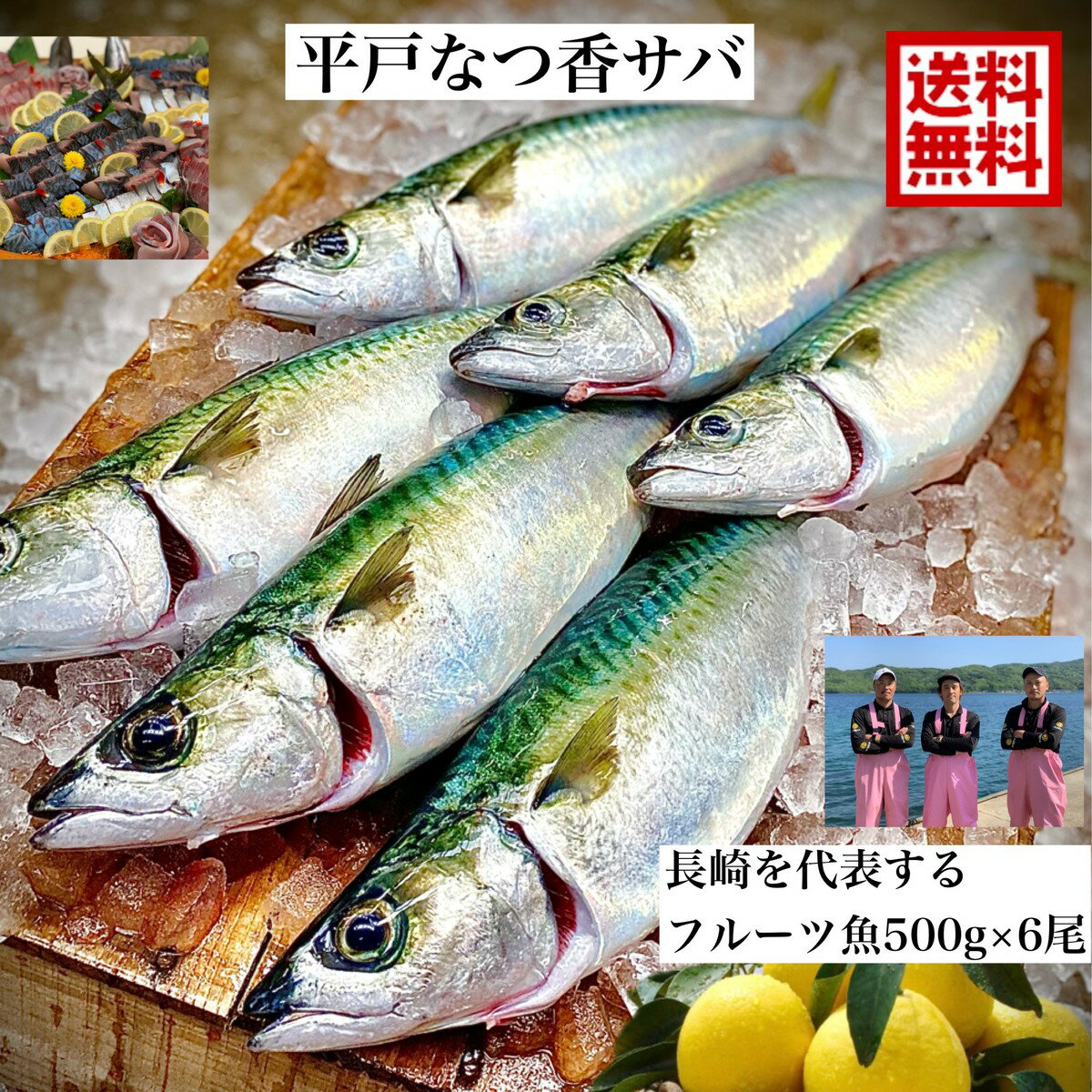 青空レストラン に出た フルーツ魚 送料無料 平戸なつ香サバ 約500g 6尾 長崎 を代表する フルーツ魚 調理しやすいように内臓を出して発送します サバ 鯖 刺身 生サバ ゴマサバ 活〆 みかん オ…