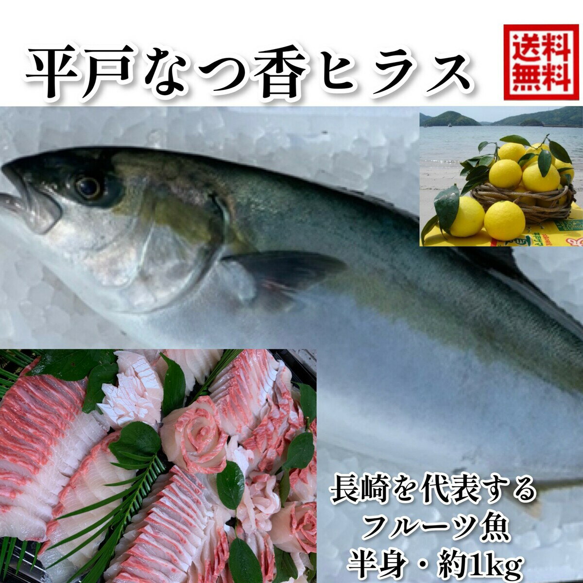 青空レストランで紹介された フルーツ魚 送料無料　平戸なつ香 ヒラス 半身　(真空パック) 約1kg　長崎を代表する フルーツ 魚 ヒラマサ 活〆　みかん　オレンジ　贈答品　ホワイトデー　お中元　お歳暮 1