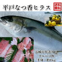 青空レストランで紹介された フルーツ魚 送料無料 平戸なつ香 ヒラス 半身 真空パック 約1kg 長崎を代表する フルーツ 魚 ヒラマサ 活〆 みかん オレンジ 贈答品 ホワイトデー お中元 お歳暮