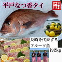 青空レストラン フルーツ魚 送料無料 平戸なつ香 タイ 約2kg 長崎を代表する フルーツ 魚 調理しやすいように内臓を取り除いて発送します 鯛 活〆みかん オレンジ 青空レストラン 母の日 ギフト