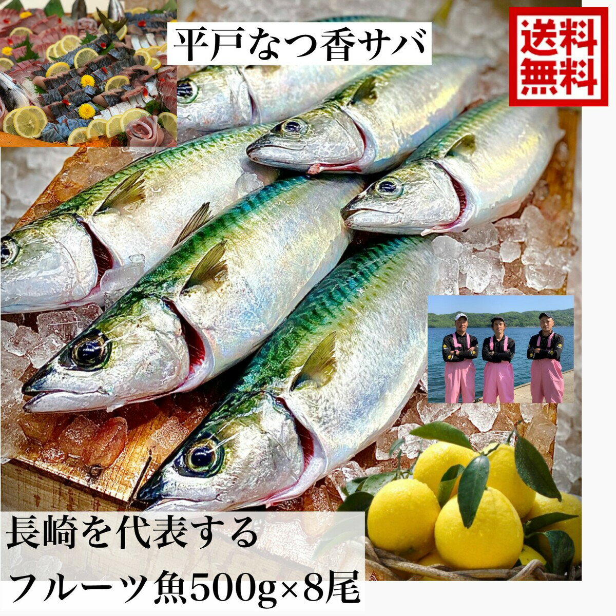 青空レストラン に出た フルーツ魚 送料無料　平戸なつ香サバ　約500g×8尾 長崎 を代表する フルーツ魚 調理しやすいように内臓を出して発送します。 サバ 鯖 刺身 生サバ ゴマサバ 活〆 みかん オレンジ ブリ 兄弟　養殖　母の日ギフト