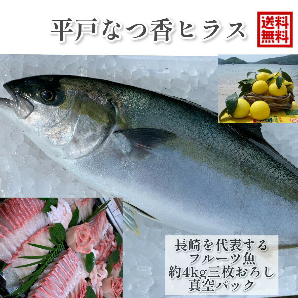 楽天坂野水産　楽天市場店青空レストラン フルーツ魚 送料無料　平戸なつ香ヒラス　約4kg　三枚おろし　（真空パック・あら付き）刺身 フィーレ 青空レストラン長崎を代表する フルーツ 魚　ヒラマサ　活〆　みかん　オレンジ　贈答品　母の日　ギフト　お歳暮　お中元