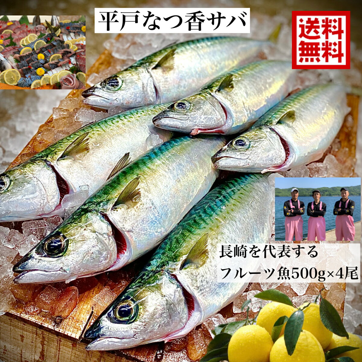 青空レストラン に出た フルーツ魚 送料無料 平戸なつ香サバ 約500g 4尾 長崎 を代表する フルーツ魚 調理しやすいように内臓を出して発送します サバ 鯖 刺身 生サバ ゴマサバ 活〆 みかん オ…