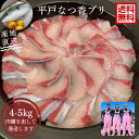 青空レストラン に出た フルーツ魚 送料無料　平戸なつ香 ブリ 4～5kg 長崎 を代表する フルーツ 魚 ！調理しやすい…