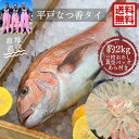 青空レストラン フルーツ魚 送料無料 平戸なつ香タイ 約2kg(真空パック・あら付き)刺身 で 1kg フィーレ 青空レストラン長崎を代表する フルーツ 魚 鯛...