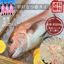 青空レストラン フルーツ魚 送料無料 平戸なつ香タイ (半身・真空パック・あら無し)刺身 で 500g フィーレ 青空レストラン長崎を代表する フルーツ 魚 鯛...