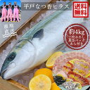 青空レストラン フルーツ魚 送料無料 平戸なつ香ヒラス 約3-4kg 三枚おろし (真空パック・あら付き)刺身 フィーレ 青空レストラン長崎を代表する フルーツ...