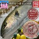 【数量限定】※指定日の指定ができません平戸なつ香 カンパチ 約4kg 三枚おろし真空パックあら付き 送料無料調理しやすいように三枚に卸して発送します 刺身 活...