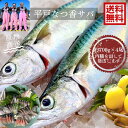 青空レストラン に出た フルーツ魚 送料無料 平戸なつ香サバ 約700g×4尾 長崎 を代表する フルーツ魚 調理しやすいように内臓を出して発送します。 サバ 鯖 刺身 生サバ ゴマサバ 活〆 みかん オレンジ 青空レストラン ブリ 兄弟 養殖