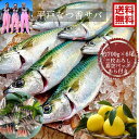 青空レストラン に出た フルーツ魚 送料無料 平戸なつ香サバ 約700g×6尾 三枚おろし (真空パック)刺身 で フィーレ 長崎を代表する フルーツ 魚 鯖 ...