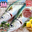 青空レストラン に出た フルーツ魚 送料無料 平戸なつ香サバ 約700g×2尾 三枚おろし (真空パック)刺身 で フィーレ ホワイトデー長崎を代表する フルー...