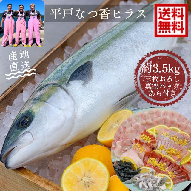 青空レストラン フルーツ魚 送料無料 平戸なつ香ヒラス 約3.5kg 三枚おろし (真空パック・あら付き)刺身 フィーレ 青空レストラン長崎を代表する フルーツ 魚 ヒラマサ 活〆 みかん オレンジ 贈答品 母の日 ギフト お歳暮 お中元