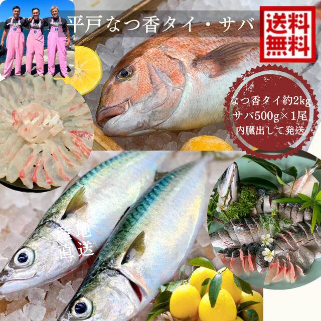 商品情報名称平戸なつ香タイ約2kg平戸なつ香サバ 約500g内容量タイ約2kg サバ 約500g産地名長崎県養殖・解凍の別養殖　鮮魚賞味期限発送から5日保存方法冷蔵加工業者名株式会社　坂野水産長崎県平戸市鏡川町1296-7【7/1から発送開始】青空レストラン フルーツ魚 送料無料　平戸なつ香サバ 約500g 1尾平戸なつ香タイ　約2kg 1尾刺身 青空レストラン長崎を代表する フルーツ 魚 鯛 活〆　みかん　オレンジ　贈答品　ホワイトデー　母の日ギフト 平戸なつ香 サバ 長崎　平戸　ブランド　魚　フルーツ魚　送料無料　タイ　鯛　刺身　活〆　美味しい魚　おいしい魚　美味しい　マダイ　新鮮 お歳暮 お中元 ギフト ※【3/1〜発送します】長崎の平戸の自然豊かな海で育てたタイとサバ！餌の中に平戸産のサマーオレンジ『平戸夏香』を混ぜ入れたフルーツ魚！生臭さがなく女性や魚が苦手な方にも美味しく食べられます！もちろん刺身で食べ食べれます！カマは塩焼きがオススメ柑橘系の香りがして美味しいです！タイは真空パックしているので食べる直前に包丁で切るだけ！台所も汚れず出刃包丁も要りません。【保存方法】冷蔵【賞味期限】発送から5日※魚のさばき方＆1本まるごと食べれるレシピ付き 2