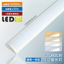 器具一体型 LEDベースライト 120cm 1.2m 薄型 消費電力50w 高輝度10000lm 天井直付 直付型 LED蛍光灯 直管 直管蛍光灯 40w形2灯...