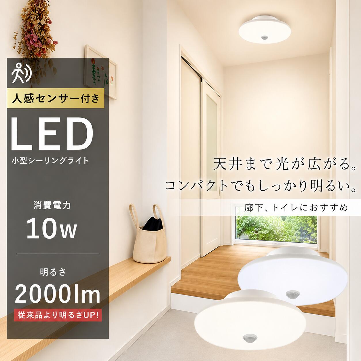 Rakuten - 新作 led シーリングライト 小型 LED 人感センサー シンプル 薄型 コンパクト 小さめ 小さい 天井照明 小型シーリングライト 人感センサー ライト おしゃれ 明るい 小型 電球色 センサー 電気 節電 工事不要 省エネ 昼光色 昼白色 電球色 玄関 倉庫 脱衣所 自動点灯 自動消灯
