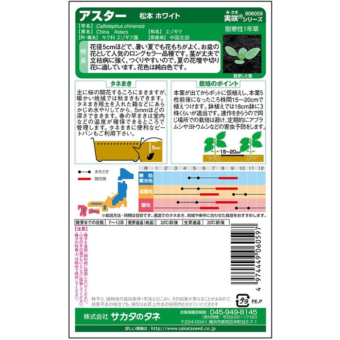 【サカタのタネ公式】 アスター 種 小袋 約180粒 ホワイト 松本 ホワイト 花 春まき 秋まき 夏 秋 鉢植え 地植え 切り花 プランター 鉢 仏花 ベランダ栽培 ガーデニング 園芸 菊 キク 種子 タネ たね