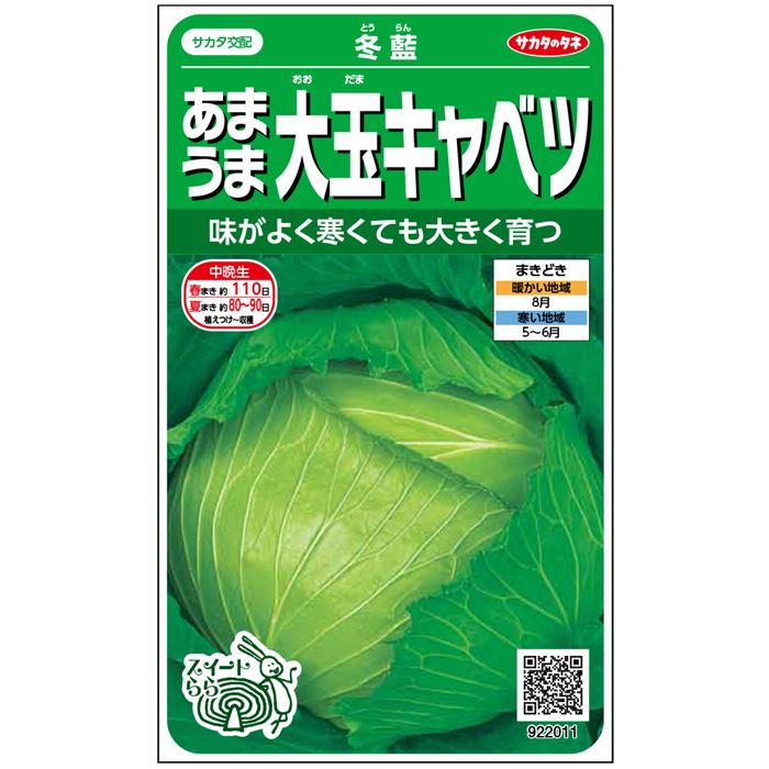 【サカタのタネ公式】 キャベツ 冬藍 野菜 種 約80粒 小袋 春まき 秋まき サカタ交配 地植え 美味しい 家庭菜園 栽培 収穫 園芸 甘藍 きゃべつ カンラン 種子 タネ たねのサムネイル