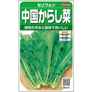 【サカタのタネ公式】 カラシナ セリフォン 野菜 種 約2500粒 小袋 春まき 秋まき 固定種 珍しい 家庭菜園 栽培 収穫 園芸 芥子菜 からしな からし菜 種子 タネ たね
