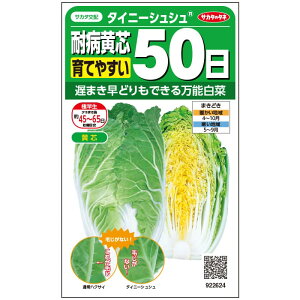 【サカタのタネ公式】 ミニハクサイ タイニーシュシュ 野菜 種 約275粒 小袋 春まき 秋まきサカタ交配珍しい 美味しい サラダ向き家庭菜園 栽培 収穫園芸 白菜 はくさい種子 タネ たね
