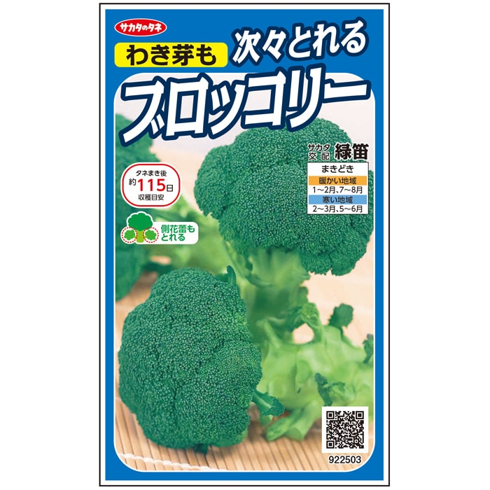 【サカタのタネ公式】 ブロッコリー 緑笛 野菜 種 約110粒 小袋 春まき 秋まきサカタ交配 簡単 初心者向き 育てやすい美味しい 家庭菜園 栽培 収穫園芸ぶろっこりー種子 タネ たねのサムネイル