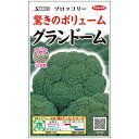 【サカタのタネ公式】 ブロッコリー グランドーム 野菜 種 ペレットシード約125粒 小袋 秋まき サカタ交配 簡単 初心者向き 育てやすい 美味しい 家庭菜園 栽培 収穫 園芸 ぶろっこりー 種子 タネ たね