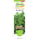 【サカタのタネ公式】 スピーディベジタブル エンダイブ (2回分) 野菜 種 0 小袋 春まき 秋まき 固定種 簡単 初心者向き 育てやすい プランター 鉢 サラダ向き 家庭菜園 ベランダ栽培 収穫 園芸 種子 タネ たね