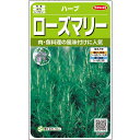 【サカタのタネ公式】 ハーブ ローズマリー 野菜 種 約65粒 小袋 春まき 秋まき 固定種 プランター 鉢 家庭菜園 ベランダ栽培 収穫 園芸 種子 タネ たね