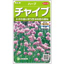 【サカタのタネ公式】 ハーブ チャイブ 野菜 種 約250粒 小袋 春まき 秋まき 固定種 簡単 初心者向き 育てやすい プランター 鉢 家庭菜園 ベランダ栽培 収穫 園芸 種子 タネ たね